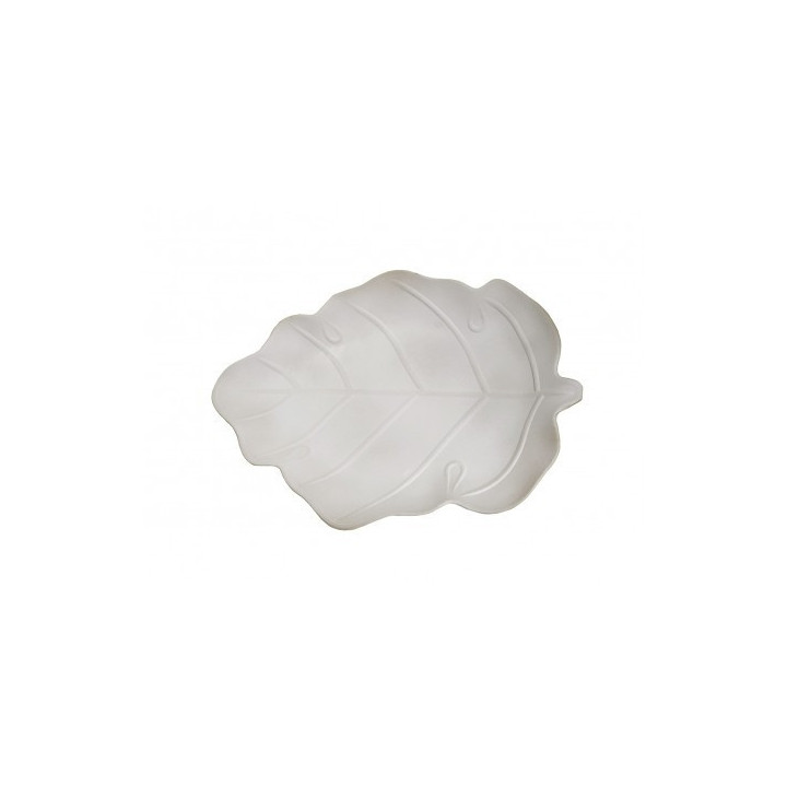 copy of 